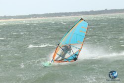20231102-bardets-et-arbousiers-111.jpg