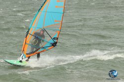20231102-bardets-et-arbousiers-118.jpg