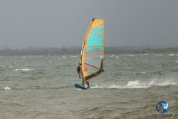20231102-bardets-et-arbousiers-121.jpg