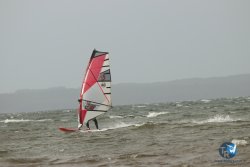 20231102-bardets-et-arbousiers-122.jpg