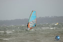 20231102-bardets-et-arbousiers-129.jpg