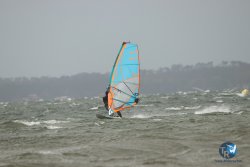 20231102-bardets-et-arbousiers-130.jpg