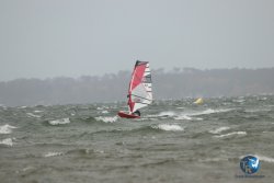 20231102-bardets-et-arbousiers-132.jpg