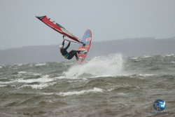 20231102-bardets-et-arbousiers-133.jpg