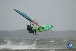 20231102-bardets-et-arbousiers-137.jpg