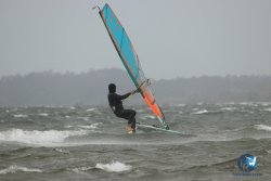 20231102-bardets-et-arbousiers-139.jpg