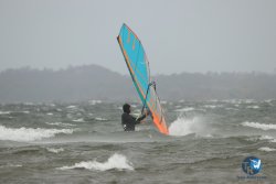 20231102-bardets-et-arbousiers-140.jpg
