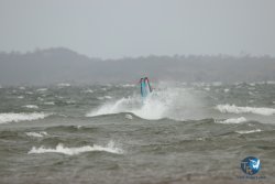 20231102-bardets-et-arbousiers-141.jpg