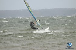 20231102-bardets-et-arbousiers-154.jpg
