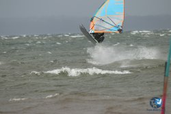 20231102-bardets-et-arbousiers-163.jpg