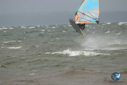 20231102-bardets-et-arbousiers-164.jpg
