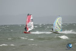 20231102-bardets-et-arbousiers-165.jpg