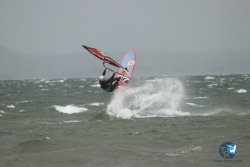 20231102-bardets-et-arbousiers-167.jpg