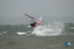 20231102-bardets-et-arbousiers-168.jpg
