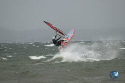 20231102-bardets-et-arbousiers-169.jpg