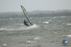20231102-bardets-et-arbousiers-175.jpg