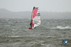 20231102-bardets-et-arbousiers-182.jpg