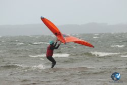 20231102-bardets-et-arbousiers-184.jpg