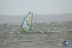 20231102-bardets-et-arbousiers-185.jpg