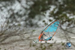 20231102-bardets-et-arbousiers-187.jpg