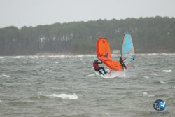 20231102-bardets-et-arbousiers-189.jpg