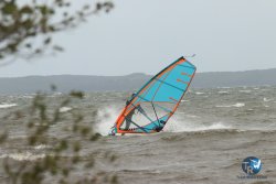 20231102-bardets-et-arbousiers-191.jpg