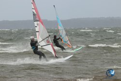 20231102-bardets-et-arbousiers-192.jpg