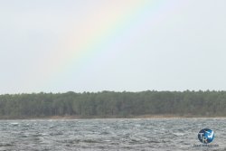 20231103-Sanguinet-044.jpg