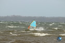 20231103-Sanguinet-079.jpg