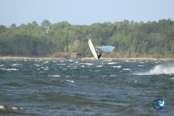 20231103-Sanguinet-093.jpg