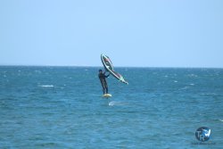 20231112-Franqui-035.jpg
