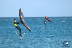 20231112-Franqui-071.jpg