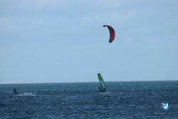 20231112-Franqui-085.jpg