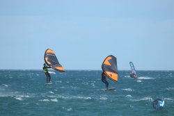 20231112-Franqui-095.jpg