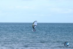 20231112-Franqui-105.jpg