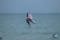 20231201-Franqui-gris-002.jpg