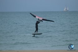 20231201-Franqui-gris-004.jpg