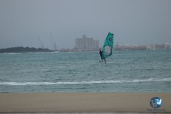20231201-Franqui-gris-006.jpg