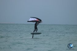 20231201-Franqui-gris-008.jpg