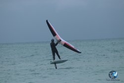 20231201-Franqui-gris-010.jpg