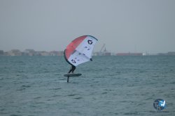 20231201-Franqui-gris-012.jpg