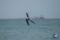 20231201-Franqui-gris-013.jpg