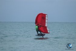 20231201-Franqui-gris-014.jpg