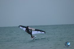 20231201-Franqui-gris-017.jpg