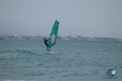 20231201-Franqui-gris-019.jpg
