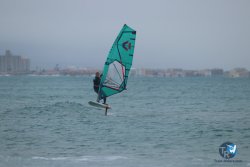 20231201-Franqui-gris-020.jpg