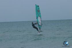 20231201-Franqui-gris-023.jpg
