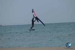 20231201-Franqui-gris-025.jpg