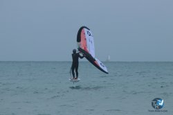 20231201-Franqui-gris-031.jpg