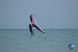 20231201-Franqui-gris-033.jpg